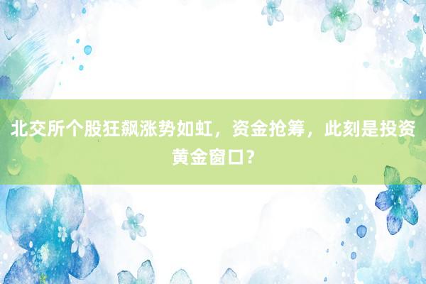 北交所个股狂飙涨势如虹，资金抢筹，此刻是投资黄金窗口？