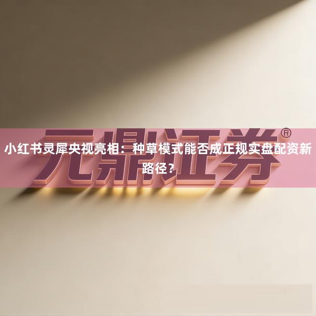 小红书灵犀央视亮相：种草模式能否成正规实盘配资新路径？