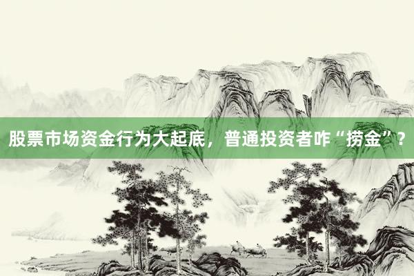 股票市场资金行为大起底，普通投资者咋“捞金”？